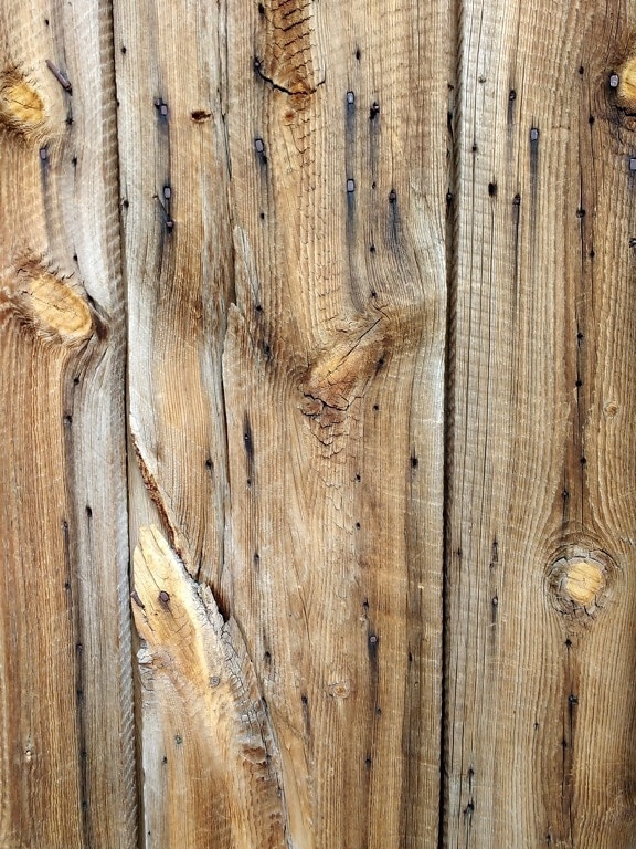 trä, tyg, ytan, trä, panelen, gamla, konsistens, Logga