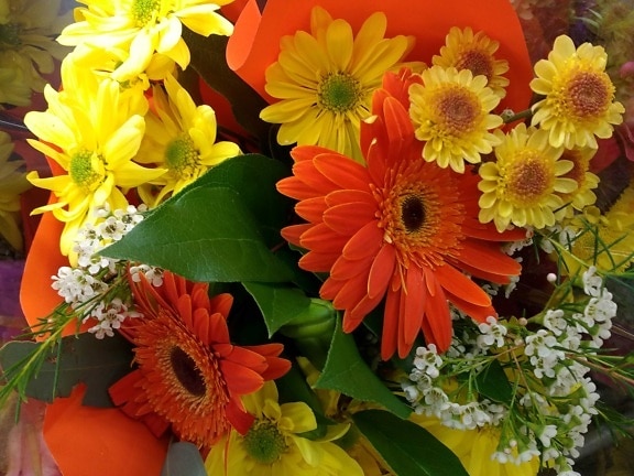 bunga, karangan bunga, bunga matahari, flora, pengaturan, dekorasi, alam, daun