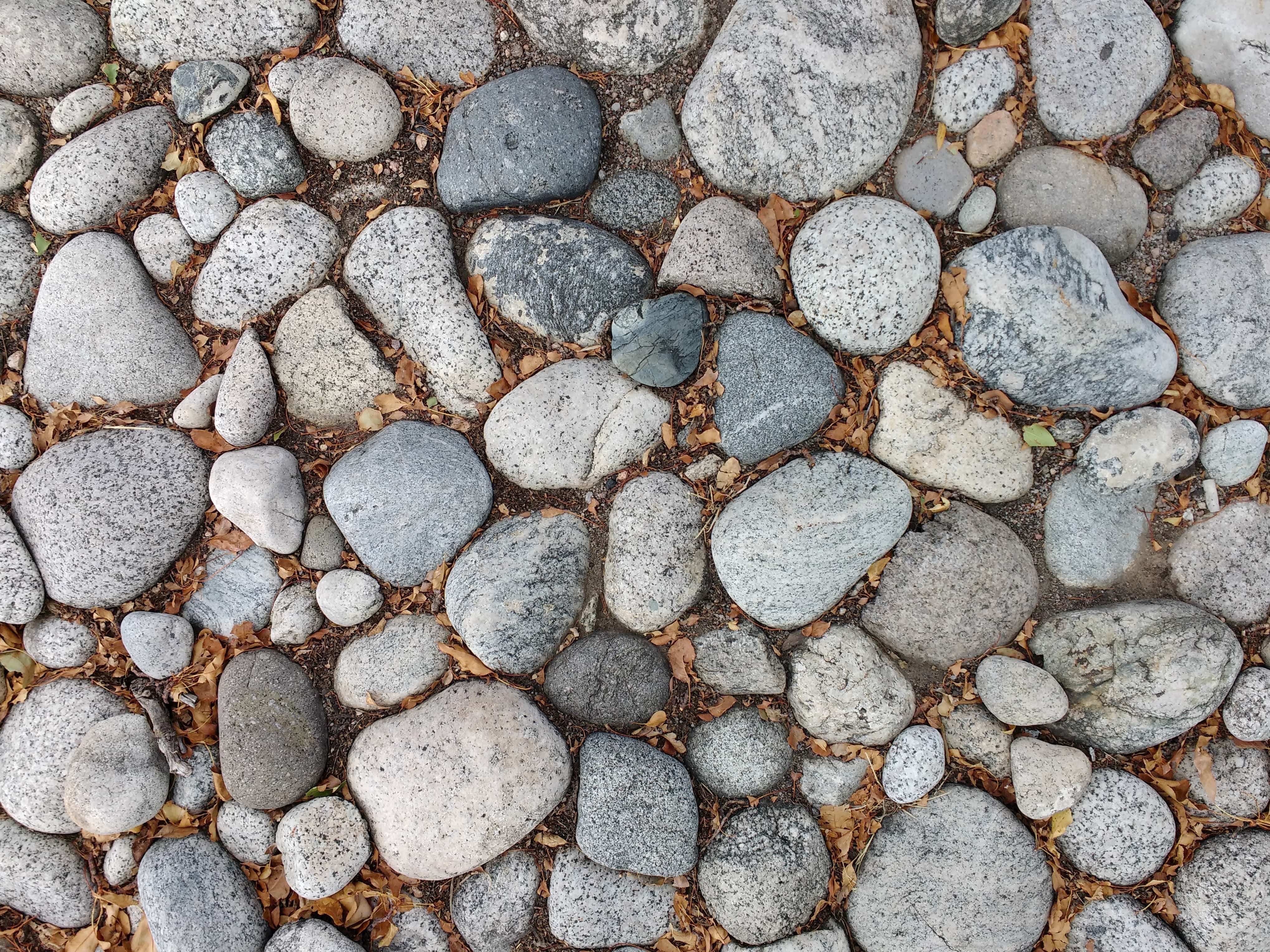 logboek Succes regio Gratis afbeelding: geologie, graniet, marmer, steen, patroon, stenen muur,  ruw, materiaal