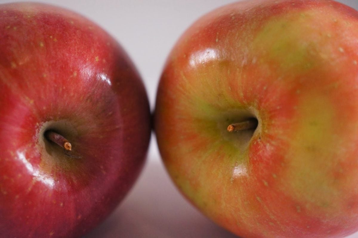 детайли, червен, плодове, селско стопанство, антиоксидант, ябълка, ябълки, светъл