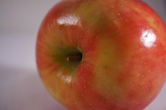плодове, бутон, антиоксидант, ябълка, ябълки, светъл, калория, вкусни
