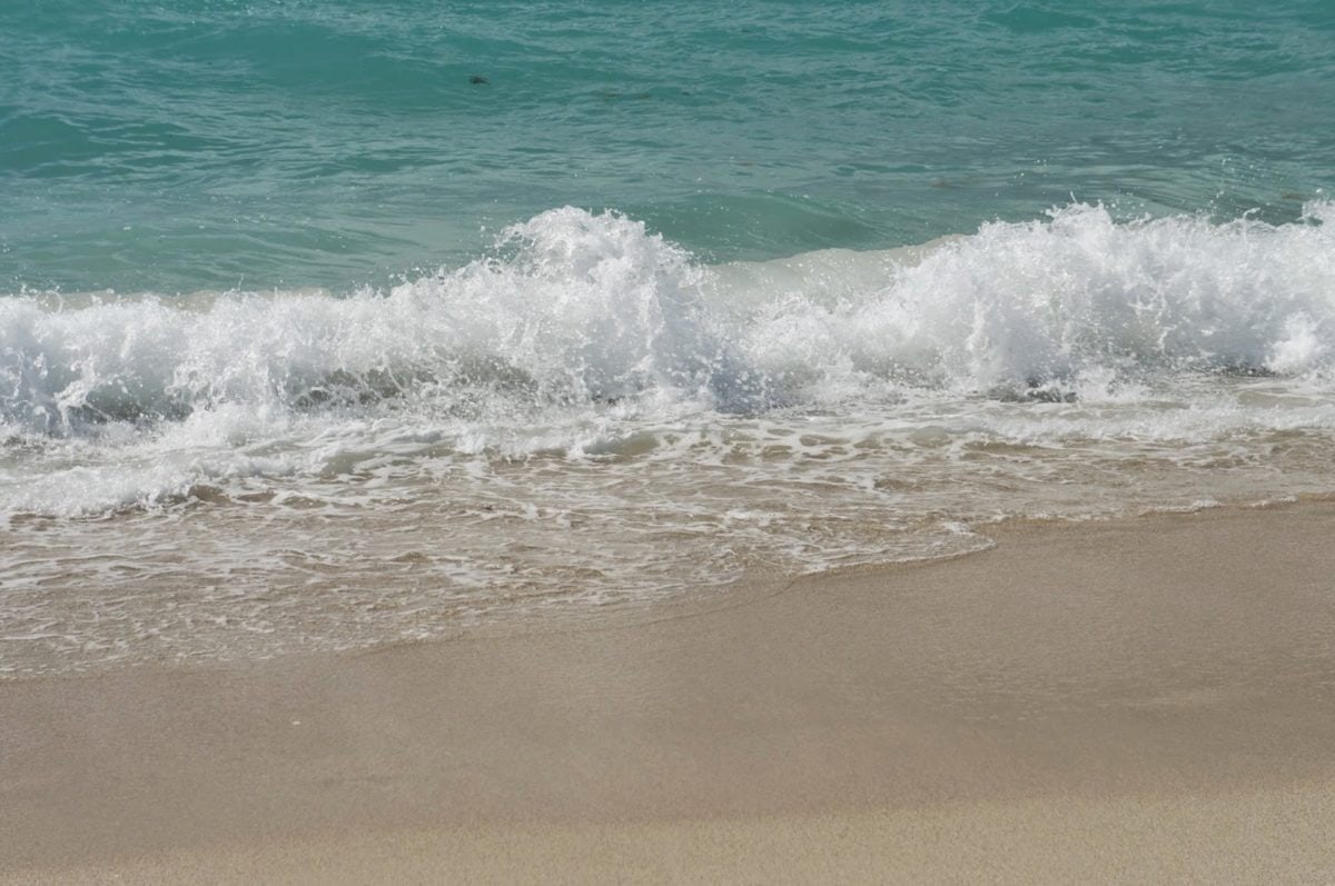 beach, waves, foam, ocean, wave, water, seashore, sea