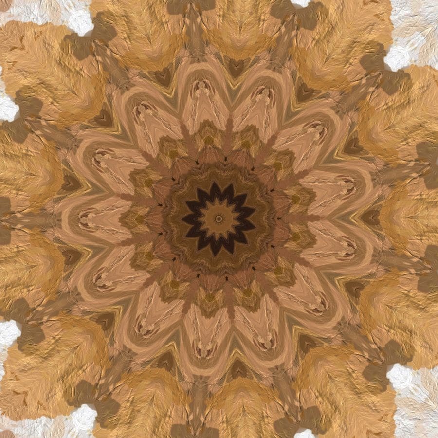 abstract, antique, arabesque, art, artistic, background, baroque, brown