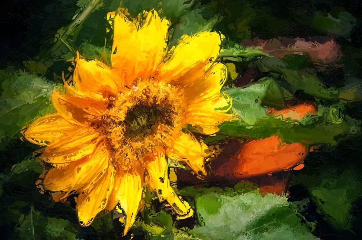 seni rupa, pertanian, musim panas, tanaman, bunga matahari, bidang, ramuan, bunga