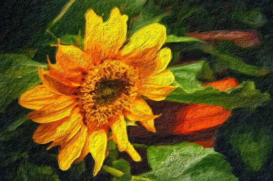fine arts, oil painting, flower, sunflower, yellow, summer, field, petal