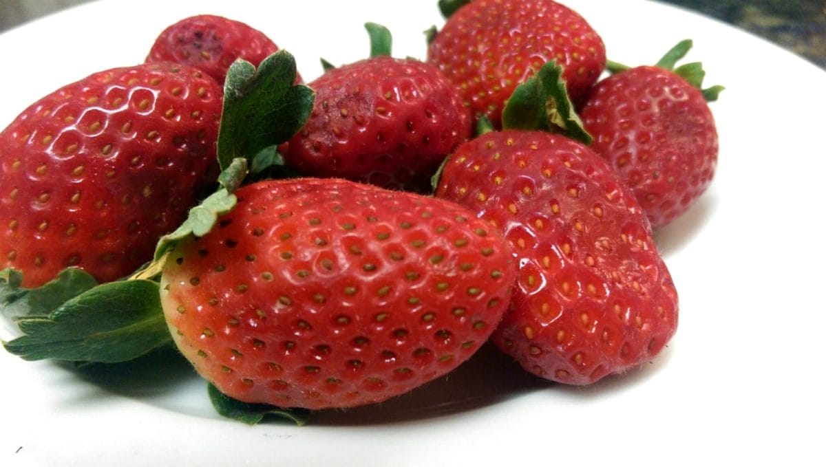 delicioso, alimentos, fresas, fruta, dulce, fresa, producir, Berry