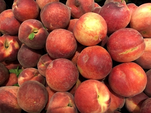 cibo, frutta, produrre, Peach, nettarina, sano, dolce, molti