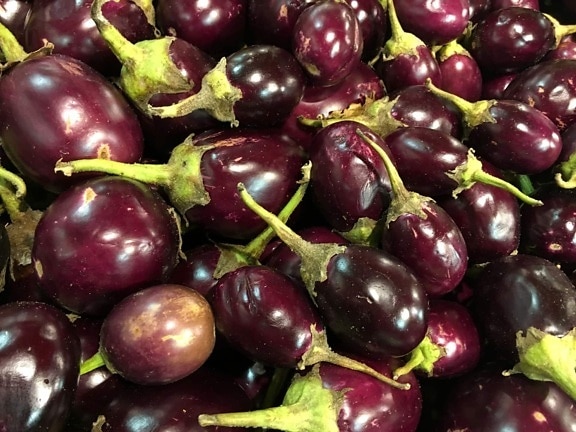 purple, eggplant, sweet, grow, food, health, pasture, nutrition