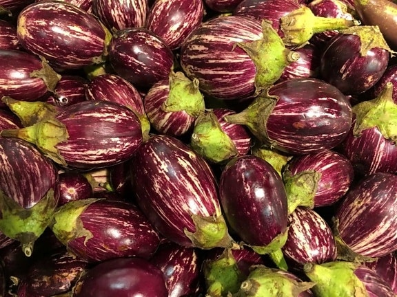 eggplant, purple, food, nutrition, healthy, vegetable, diet, grow