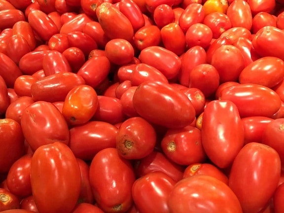 jedlo, paradajky, rastlinné, čerstvé, zdravé, organické, ovocie, paradajka