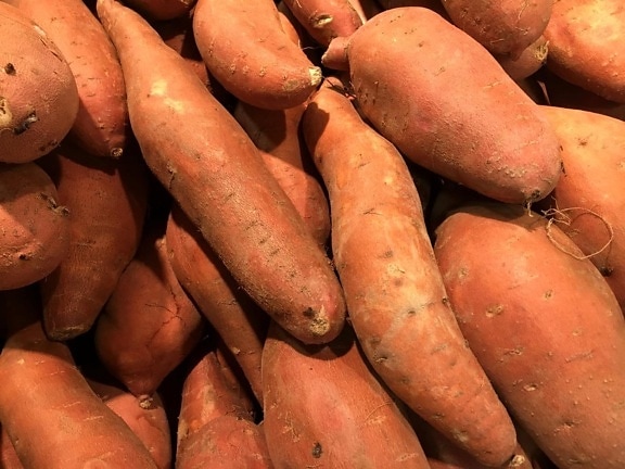 vegetable, market, root, sweet potato, produce, food, grow, farming