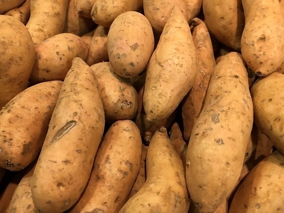 carbohydrate, food, market, root, vegetable, grow, sweet potato, potato
