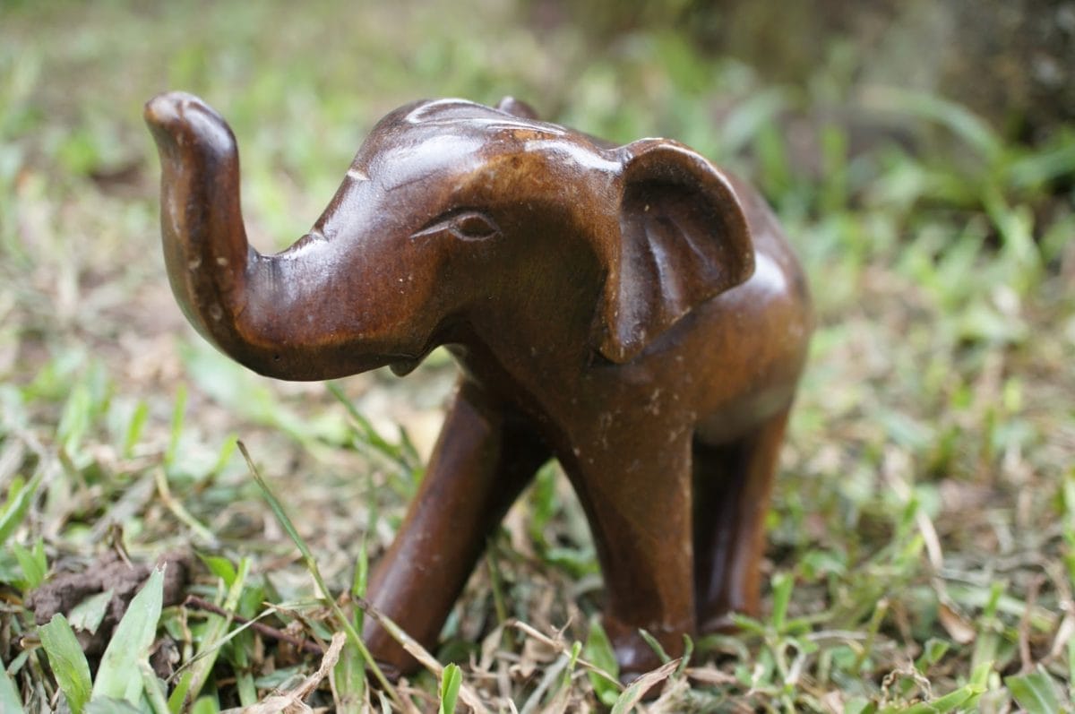 brown, detail, elephant, sculpture, wooden, nature, grass, wood