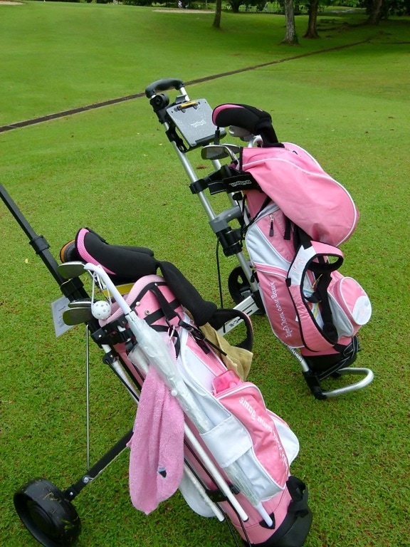 bagages, Golf, sport, fer, herbe, Recreation, Loisirs