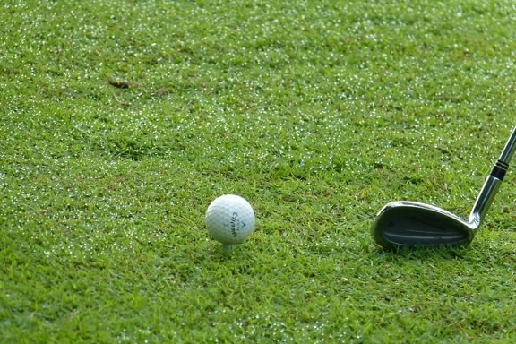 golfový míček, míč, klub, kurz, Golf, čaj, volný čas, otvor
