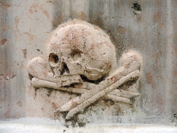 Knochen, Marmor, Schädel, alt, Wand, Architektur, Erstellen von, Antike
