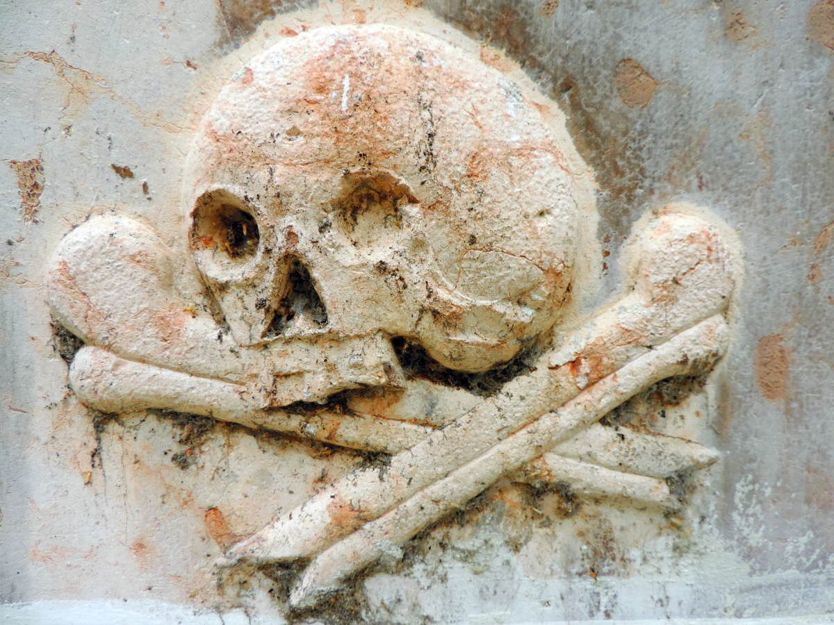 bone, cemetery, religion, religious, skull, spirituality, old, upclose