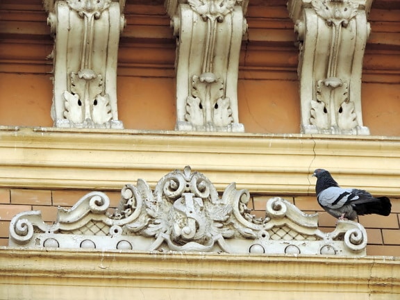 baroque, exterior, facade, pigeon, sculpture, carving, architecture, marble