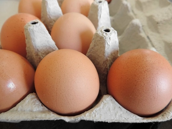 eggshell, shell, poultry, egg, food, breakfast, cholesterol, hen