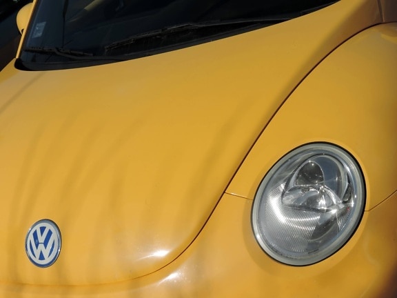Volkswagen beetle, vehicle, headlight, car, wheel, transportation, automobile, automotive, luxury