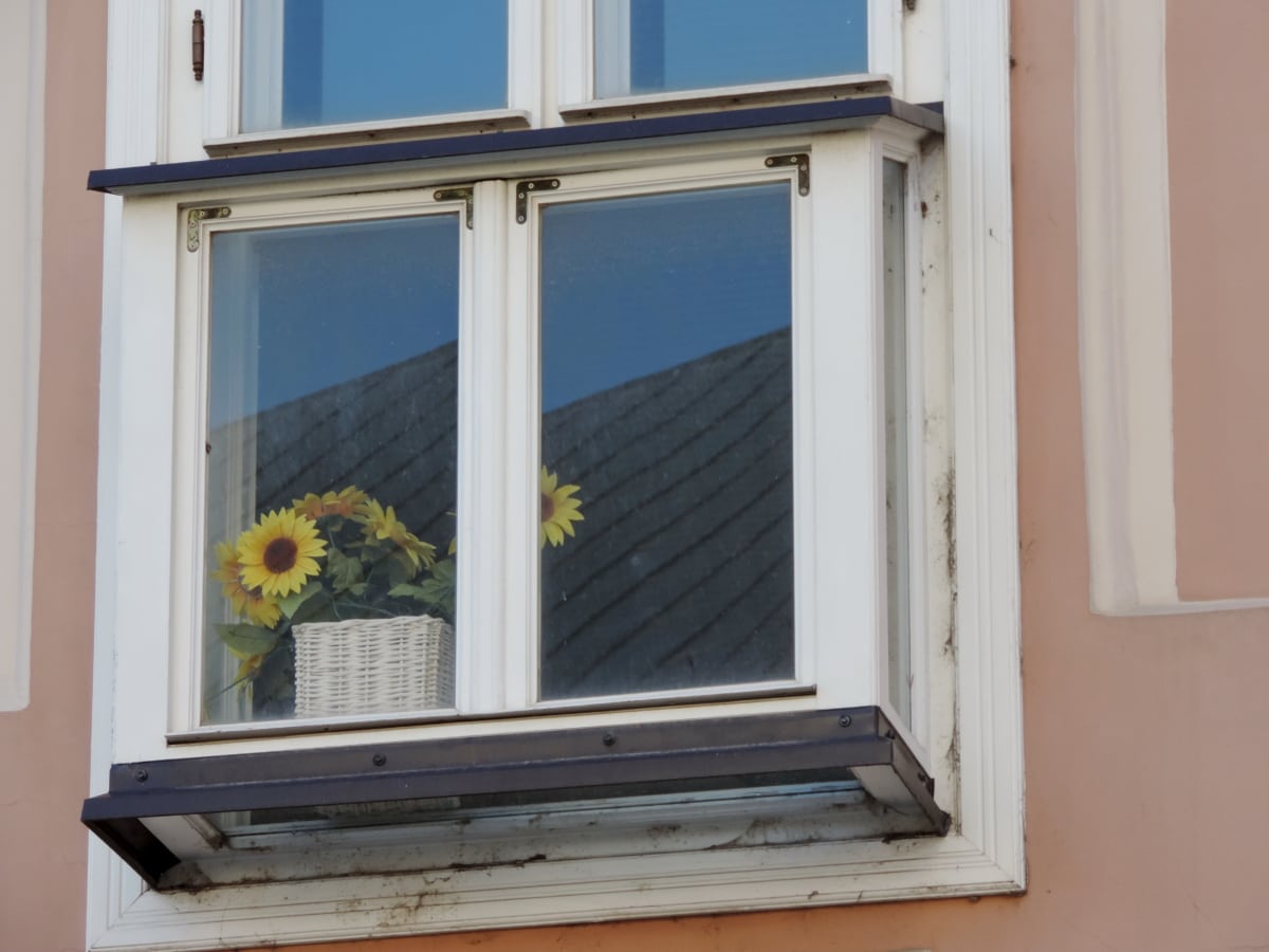 Barock, Blumentopf, Sonnenblume, Fenster, Erstellen von, Haus, Haus, Architektur