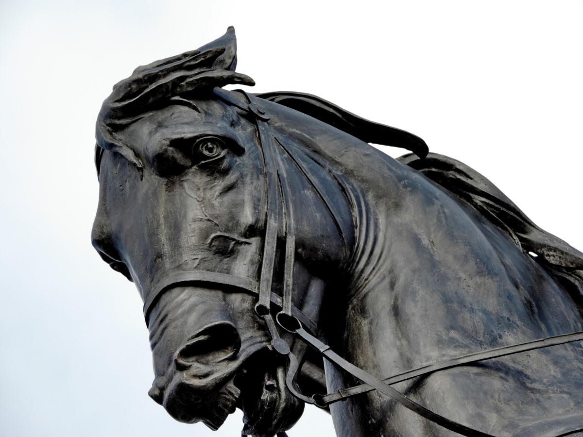 bronze, statue de, cheval, animal, harnais, sculpture, cavalerie, Portrait