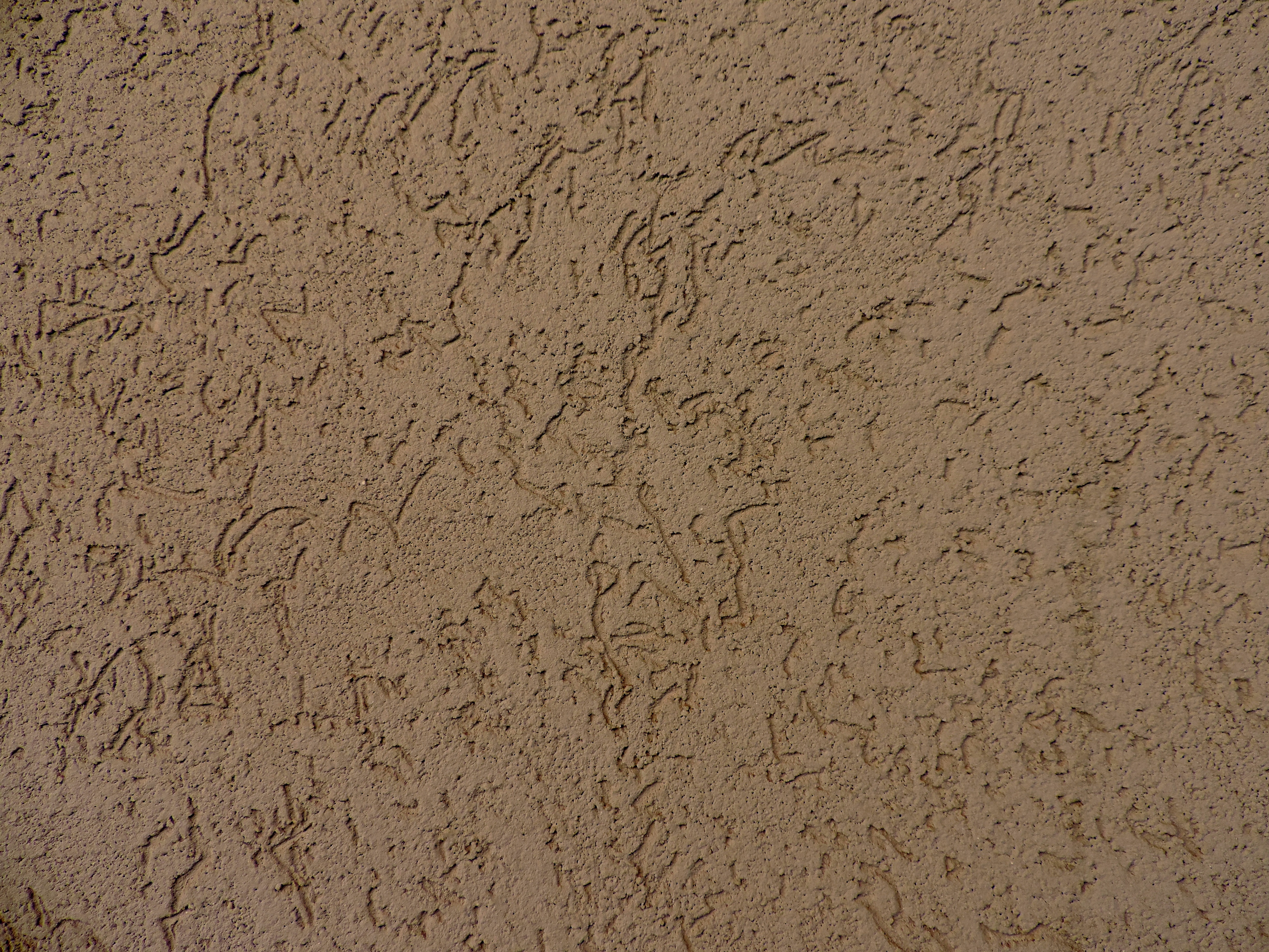 Free picture: cement, concrete, light brown, rough, texture, dirty, old