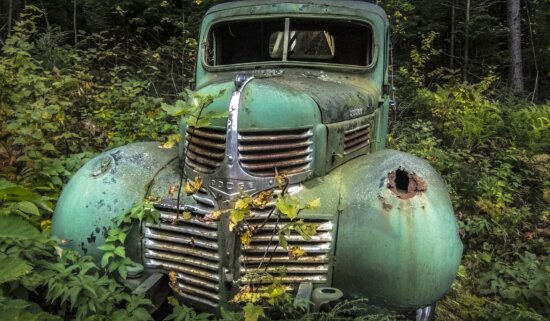abandoned, forest, junkyard, old, rust, car, vehicle, grille