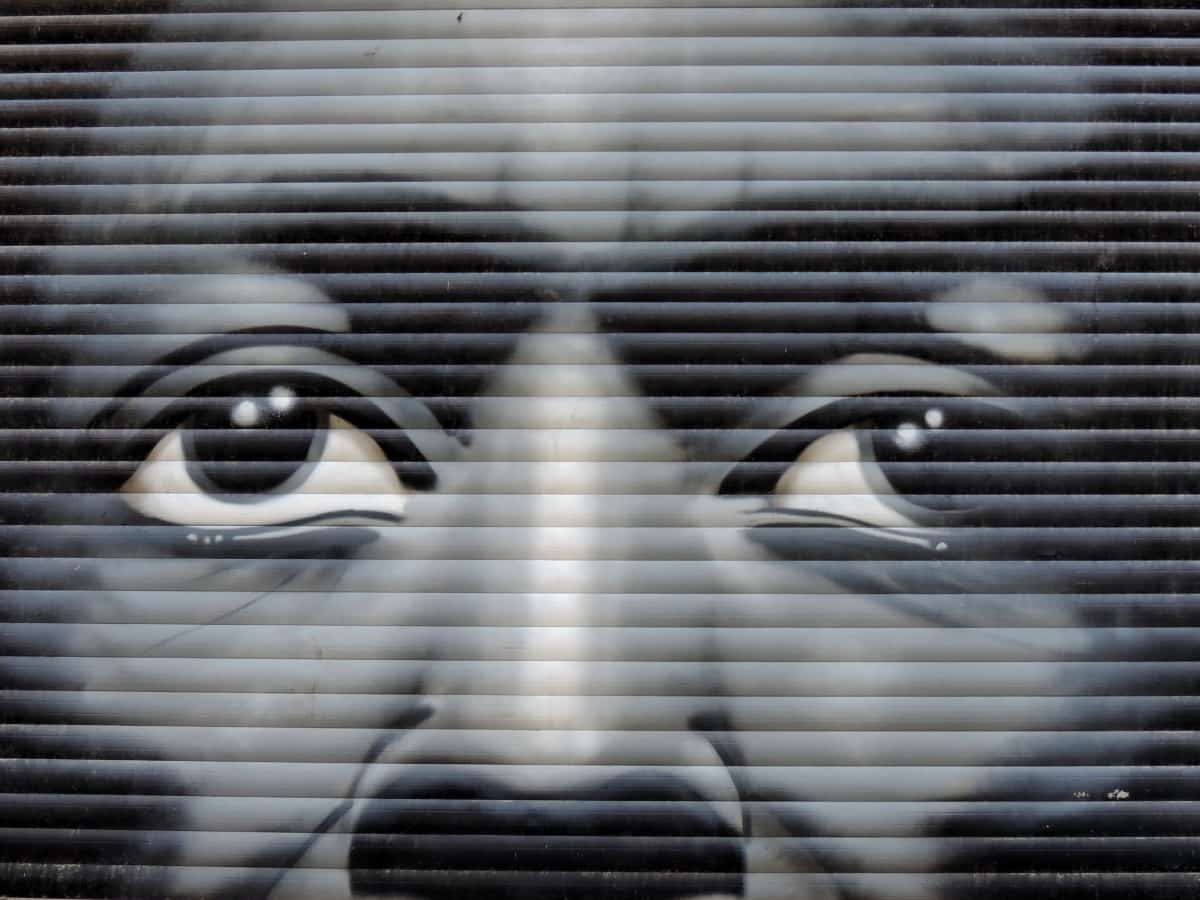 musta ja valkoinen, silmä, silmämuna, silmäripset, graffiti, henkilö, muotokuva, teräs