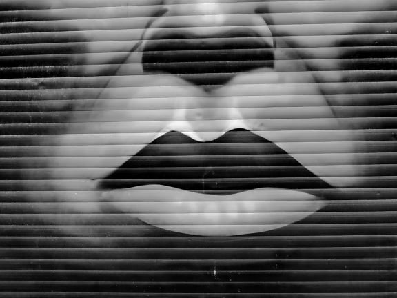 obličej, graffiti, černobílý tisk, ústa, nos, portrét, textura, abstrakt