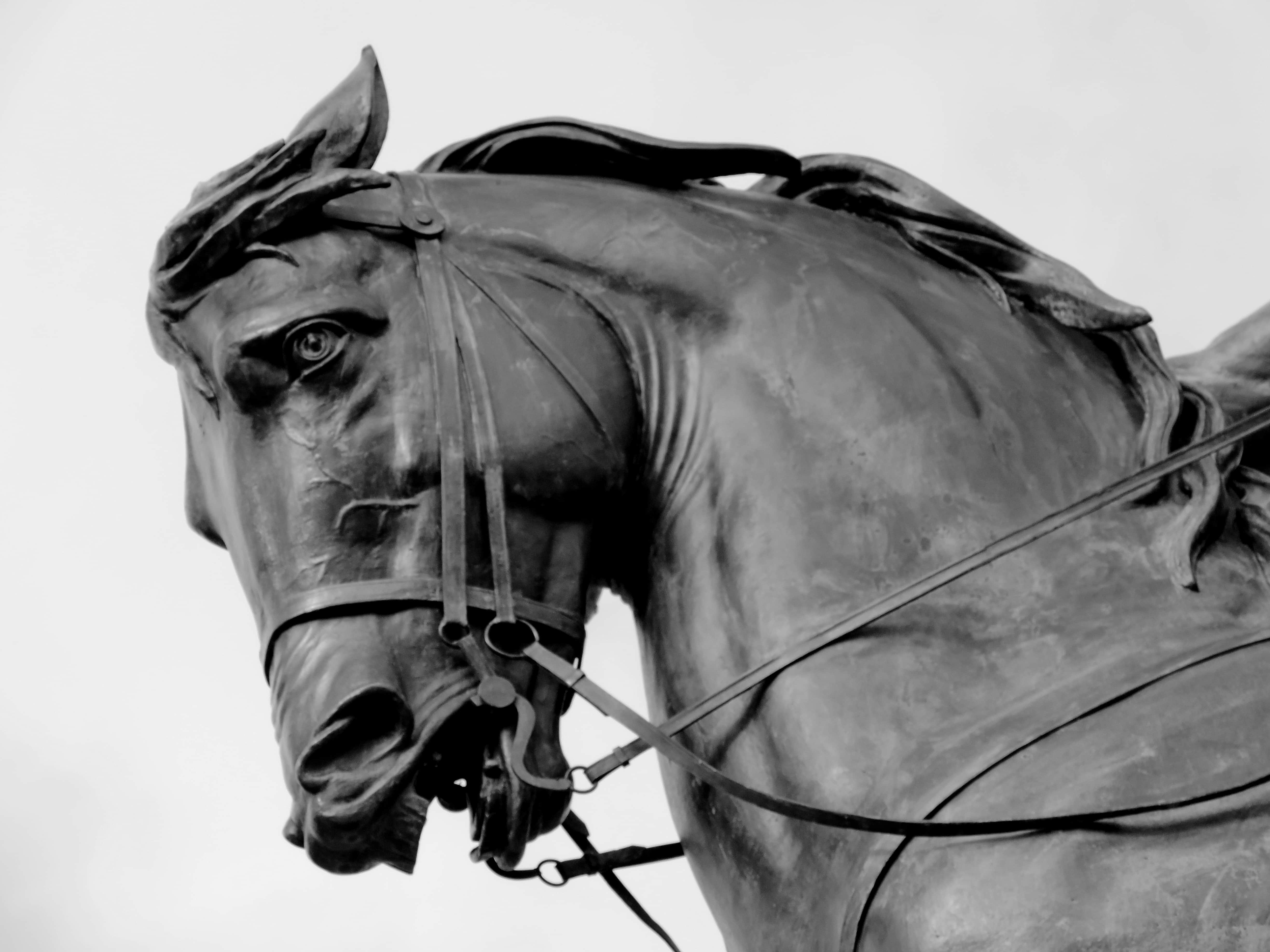 Gambar gratis hitam dan putih perunggu patung kuda 