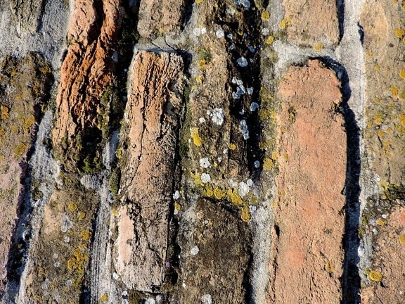 briques, lichen, Rough, vieux, texture, modèle, tissu, sale