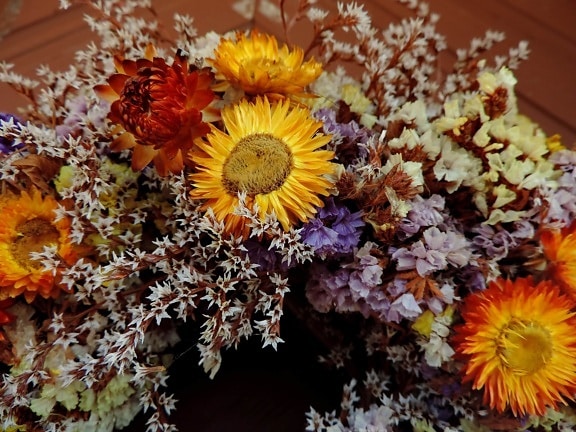 διακόσμηση, ξηρά, Νεκρή φύση, φυτό, λουλούδι, κίτρινο, πέταλο, το καλοκαίρι