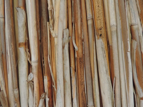 texture, écorce, bâton, bois, fermer, modèle, nature, en bois