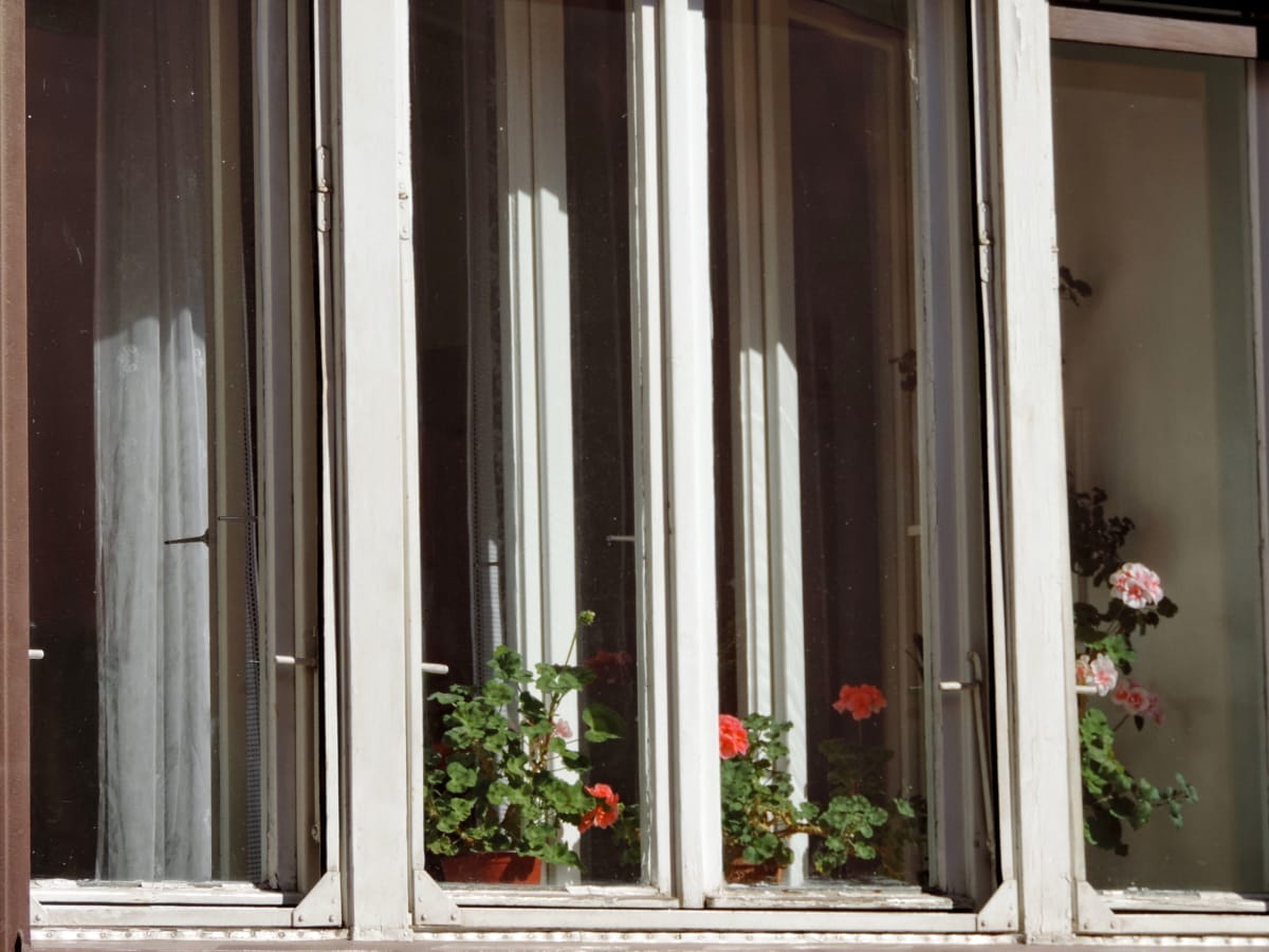 vaso de flor, edifício, arquitetura, janela, casa, madeira, entrada, dentro de casa