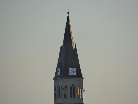 Cathédrale, catholique, steeple, Croatie (Hrvatska), tour, architecture, religion, Église