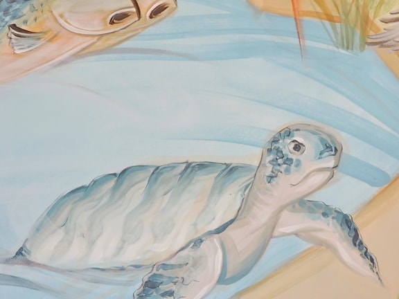 art, graffiti, mural, sea turtle, color, beautiful, design, dawn