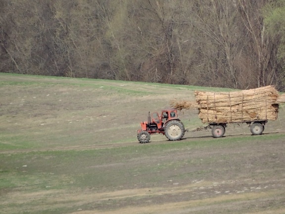 Agriculture, travail sur le terrain, tracteur, véhicule, paysage, ferme, machine, domaine