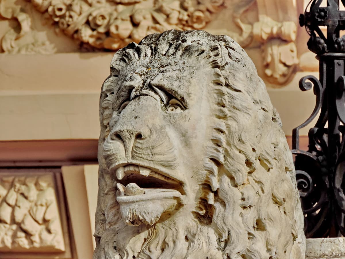 träsnideri, huvud, lejon, marmor, skulptur, förklädnad, som täcker, konst