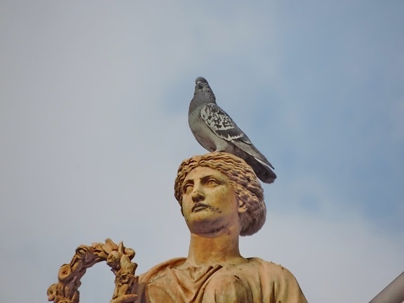 cielo blu, busto, testa, piccione, arte, religione, intaglio, Statua
