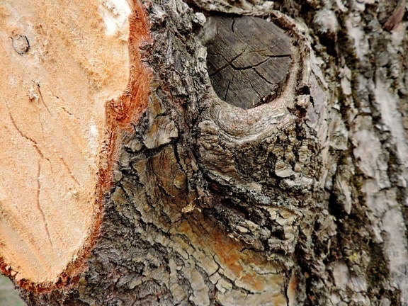 upclose, wood, texture, tree, rough, bark, nature, pattern