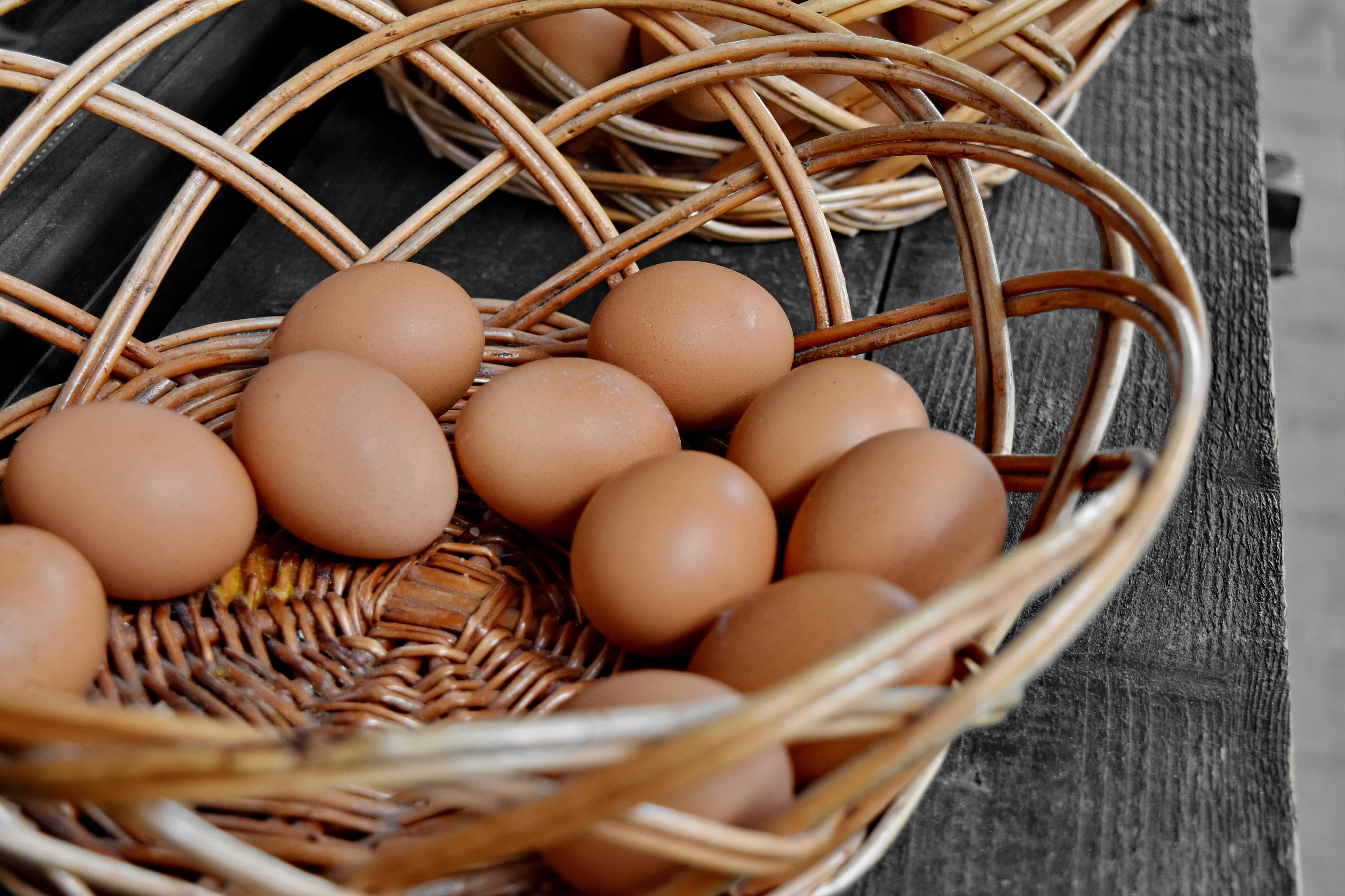 Gratis billede: æg, æggeskal, marked, økologisk, kurv, mad, flet