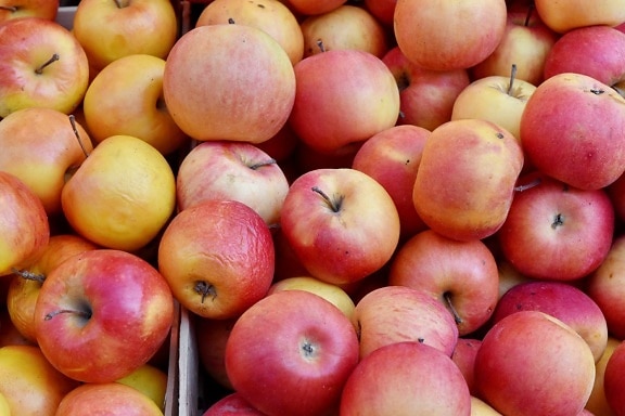 кутия, пазар, червен, храна, ябълка, нектаринови, плодове, произвежда