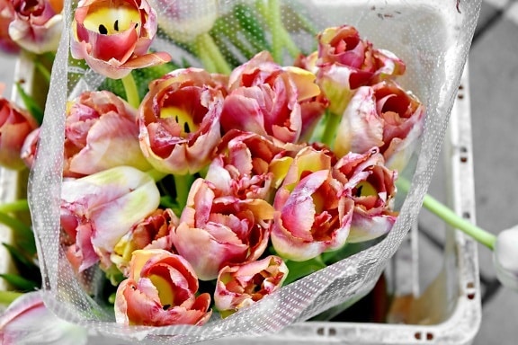tulipany, bukiet, Dekoracja, Układ, liść, kwiat, zbliżenie, Natura