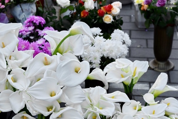 cvijeće, dekoracija, aranžman, buket, cvijet, vrt, vjenčanje, flore