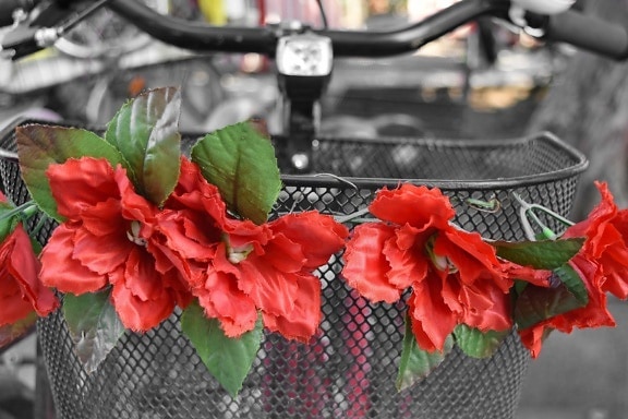 Корзина, велосипедов, Рулевое колесо, цветок, лист, на открытом воздухе, сад, Природа