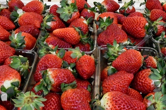 bær, frugt, jordbær, mad, Sød, sund, lækker, sundhed