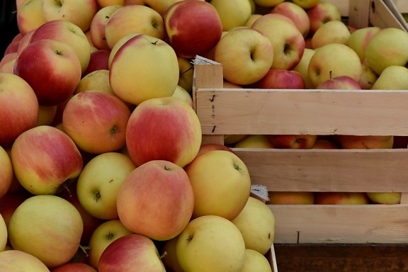cesta, saudável, comida, maçã, alperce, frutas, saúde, nutrição