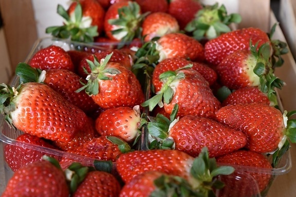 supermarket, berry, strawberries, fruit, food, delicious, strawberry, healthy