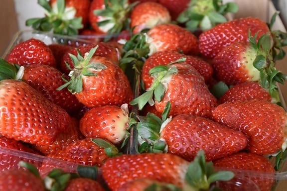 健康, 水果, 餐饮, 浆果, 生产, 草莓, 美味, 甜